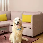 Hyatt Place Paris Charles De Gaulle Airport رواسي أو فرانس