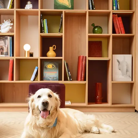 Hyatt Place Paris Charles De Gaulle Airport ホテル ロワシー・アン・フランス